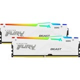 Kingston FURY KF552C40BWAK2-64, Memoria bianco