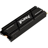 Kingston FURY Renegade Heatsink 2 TB, Disco a stato solido Nero