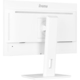 iiyama XUB2497HSU-W2, Monitor LED bianco (matto)