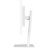 iiyama XUB2497HSU-W2, Monitor LED bianco (matto)