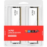 ADATA LANCER BLADE RGB memoria 48 GB 2 x 24 GB DDR5 288-pin DIMM bianco, 48 GB, 2 x 24 GB, DDR5, 6000 MHz, 288-pin DIMM