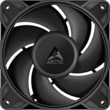 ARCTIC P12 Pro LN, Ventola Nero