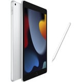Apple iPad, Tablet PC argento