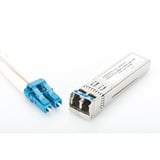 Digitus Modulo mini GBIC (SFP), Ricetrasmettitore 