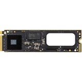 OWC Aura Pro IV 500 GB 