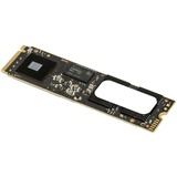 OWC Aura Pro IV 500 GB 