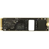 OWC Aura Ultra IV 500 GB, Disco a stato solido 