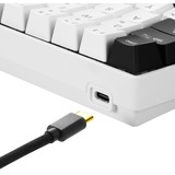 Sharkoon SGK50 S4 tastiera Wireless a RF + USB AZERTY Francese Bianco bianco/Nero, 60%, Wireless a RF + USB, AZERTY, LED RGB, Bianco