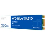 WD Blue SA510 M.2 250 GB Serial ATA III blu/Bianco, 250 GB, M.2, 555 MB/s, 6 Gbit/s