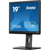 iiyama ProLite B1980S-B1 Monitor PC 48,3 cm (19") 1280 x 1024 Pixel VGA LED Nero, Monitor LED Nero (opaco), 48,3 cm (19"), 1280 x 1024 Pixel, VGA, LED, 3 ms, Nero