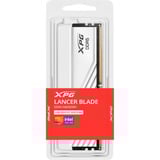 ADATA LANCER BLADE DDR5 memoria 16 GB 1 x 16 GB 288-pin DIMM Data Integrity Check (verifica integrità dati) bianco, 16 GB, 1 x 16 GB, DDR5, 5600 MHz, 288-pin DIMM