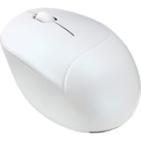 ASUS Fragrance MD101 mouse Casa Ambidestro RF senza fili + Bluetooth Ottico 2400 DPI bianco, Ambidestro, Ottico, RF senza fili + Bluetooth, 2400 DPI, Bianco
