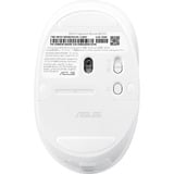ASUS Fragrance MD101 mouse Casa Ambidestro RF senza fili + Bluetooth Ottico 2400 DPI bianco, Ambidestro, Ottico, RF senza fili + Bluetooth, 2400 DPI, Bianco