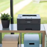 Brother HL-L2445DW, Stampante laser grigio scuro