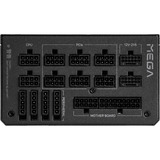 Fortron PPA13F0201, Alimentatore PC Nero