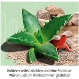 KOSMOS 45496907 giocattolo e kit di scienza per bambini, Casella di esperimento Kit per esperimenti, Botanica, 6 anno/i