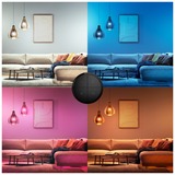 Philips Hue Tap dial switch, Pulsante Nero, Philips Tap dial switch, Wireless, Nero, Parete, IP20, Plastica, IP20