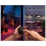 Philips Hue Tap dial switch, Pulsante Nero, Philips Tap dial switch, Wireless, Nero, Parete, IP20, Plastica, IP20