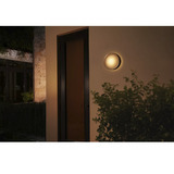 Philips Hue White & Color Ambiance Daylo Applique da esterno, Luce LED argento