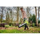 Ryobi RY36BLA-0, Soffiatore verde/Nero