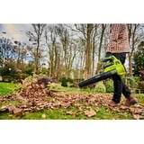 Ryobi RY36BLA-0, Soffiatore verde/Nero