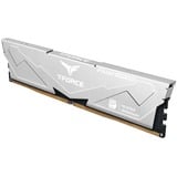 Team Group FLESD532G6000HC38ADC01, Memoria grigio