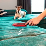 Vileda Spazzola elettrostatica Pet Pro, Pennello rosso/Nero