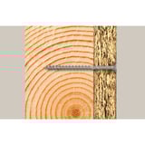 fischer Mini FixTainer PowerFast II - BC, Set di viti argento