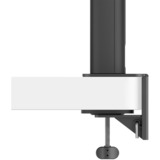 BenQ RD320UA Monitor PC 80 cm (31.5") 3840 x 2160 Pixel 4K Ultra HD LED Nero, Monitor LED Nero, 80 cm (31.5"), 3840 x 2160 Pixel, 4K Ultra HD, LED, 5 ms, Nero