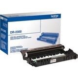 Brother DR-2300 tamburo per stampante Originale 1 pz Originale, Brother, Brother HL-L2300D / HL-L2340DW / HL-L2360DN / HL-L-2365DW / DCP-L2500D / DCP-L2520DW / DCP-L2540DN..., 1 pz, 12000 pagine, Stampa laser