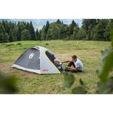 Coleman Tenda a cupola per 3 persone Darwin 3 grigio/verde chiaro