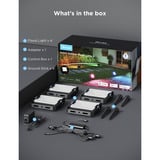 Govee Faretti da esterno, Luce LED 