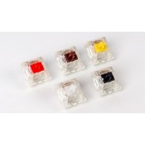 Keychron G48, Interruttore a pulsante bianco/trasparente