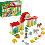 LEGO DUPLO Maneggio, Giochi di costruzione Set da costruzione, 2 anno/i, Plastica, 65 pz, 857 g