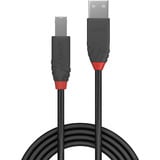 Lindy Cavo USB 2.0 Tipo A a B, Anthra Line Nero