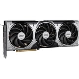 MSI V531-095R, Scheda grafica 