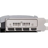 MSI V531-095R, Scheda grafica 