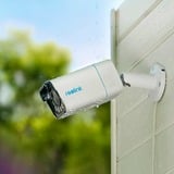 Reolink P430 Pallottola (forma) Telecamera di sicurezza IP Interno e esterno 3840 x 2160 Pixel Parete, Telecamera di sorveglianza bianco, Telecamera di sicurezza IP, Interno e esterno, Cablato, Google Assistant, Parete, Bianco