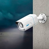 Reolink P430, Telecamera di sorveglianza bianco