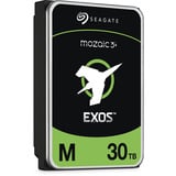 Seagate ST30000NM004K 
