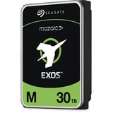 Seagate ST30000NM004K 