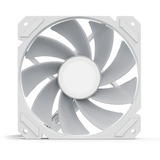 Sharkoon SHARK Mirror RGB PWM REVERSE, Ventola bianco