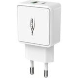 Ansmann HC218PD Bianco Interno, Caricabatterie bianco, Interno, AC, 12 V, Bianco