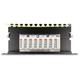 DeLOCK 66872 pezzo di pannello 1U, Patch Panel Nero, Cat6a, Nero, Metallo, 1U, 254 mm, 100 mm