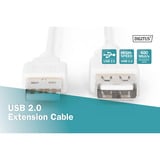 Digitus Cavo di prolunga USB 2.0, USB-A maschio > USB-A femmina beige