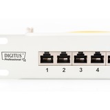 Digitus Pannello Patch Classe E, CAT 6 grigio chiaro, CAT 6, RJ-45, Cat6, Grigio, Montaggio a rack, 1U, LSA, Vendita al dettaglio