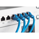 Digitus Pannello Patch Classe E, CAT 6, Patch Panel grigio chiaro, CAT 6, RJ-45, Cat6, Grigio, Montaggio a rack, 1U, LSA, Vendita al dettaglio