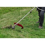 EINHELL 3436560 decespugliatore e tagliabordi 42 cm 1000 W Benzina Alluminio, Nero, Rosso rosso/Nero, Tagliabordi, 42 cm, Lama e filo di nylon, Impugnatura a U, 2,4 mm, 7500 Giri/min