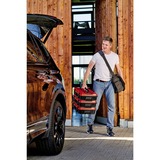 EINHELL Valigetta di sistema E-Case S-F incl. divisori, Cassetta portautensili Nero/Rosso