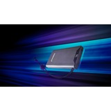 Intenso Powerbank F10000 Grigio grigio